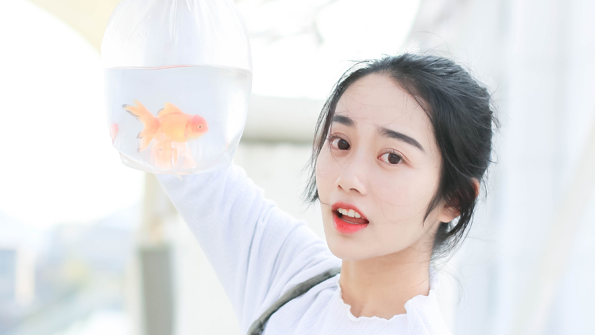 暗星计划 影视封面